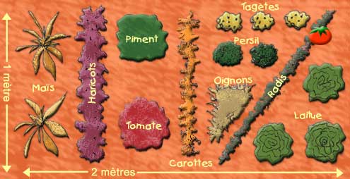 plan de petit jardin
