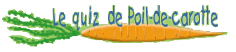 Le quiz de Poil-de-carotte