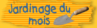 Jardinage du mois