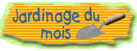 Jardinage du mois