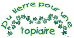 Du lierre pour une topiaire