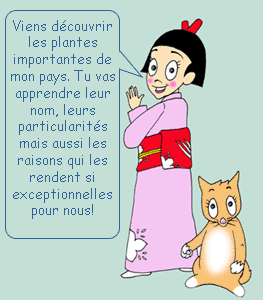 Illustration de Serge Pelletier