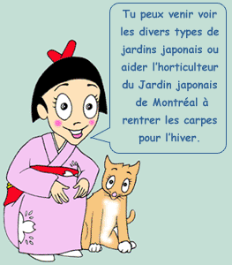 Ayam� explique les jardins : Ill. de Serge Pelletier