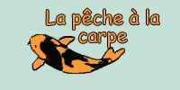 La p�che � la carpe