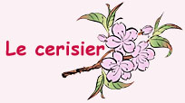 Le cerisier