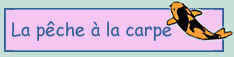 La p�che � la carpe