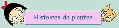 Histoires de Plantes