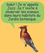 Explication de Jazz