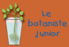 Le botaniste junior