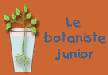 Le botaniste junior