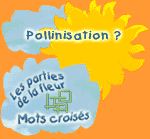 Vers mots crois&eacute;s