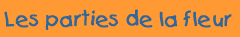 Les parties de la fleur