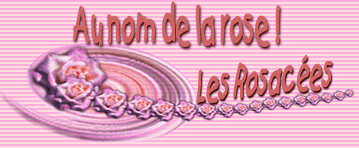 Au nom de la rose! Les Rosac&eacute;es
