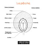 La p�che
