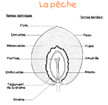 La p�che - Cliquez sur l'image pour l'agrandir