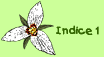 indice 1