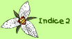indice 2