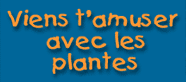 Viens t'amuser avec les plantes