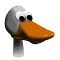 http://www2.ville.montreal.qc.ca/jardin/images/jeunes/naturaliste/petit_fermier/visite/canard_tete_g.gif