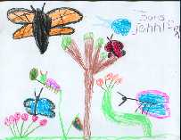 Jennifer - Papillon