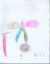Katy - Papillon