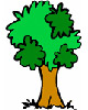 Mois de l'arbre et des forêts