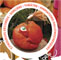 The Great Pumpkin Ball