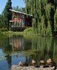L'�tang de la Maison de l'arbre