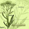 Biblioth�que du Jardin botanique de Montr�al