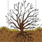 Carnet horticole