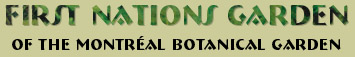 first nations garden of montr�al botanical garden