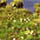 Northern Territory