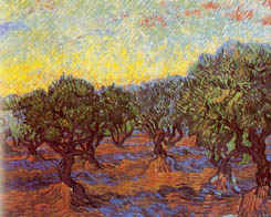 Oliveraie - Vincent Van Gogh- Saint-Rmy - Novembre 1889 - Gteborgs Konstmuseum ; Huile sur toile 