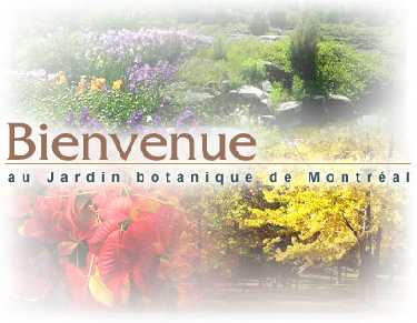 www2 ville montreal qc ca jardin multiplication accueil htm www2 ville montreal qc ca jardin multiplication accueil htm