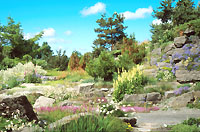 Vue du Jardin alpin
