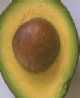 L'avocado