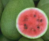 melon