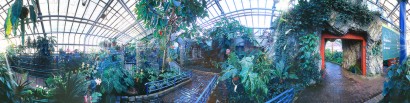 La Serre des orchid�es en 360 degr�s