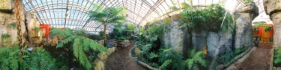 La Serre des foug�res en 360 degr�s