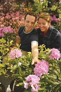 Great Gardening Weekend