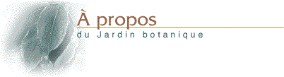 � propos du Jardin botanique