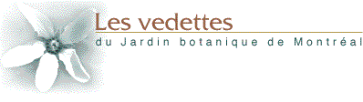 Les vedettes du Jardin botanique de Montr�al