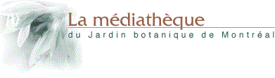 La m�diath�que