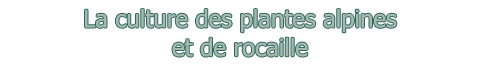 La culture des plantes alpines et de rocaille