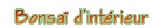 Bonsa� d'int�rieur