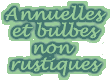 Annuelles et bulbes non rustiques