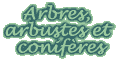 Arbres, arbustes et conifères