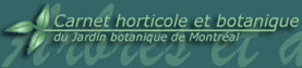 Carnet horticole et botanique du Jardin botanique de Montral