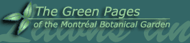 The Green Pages