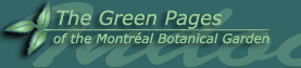 The Green Pages